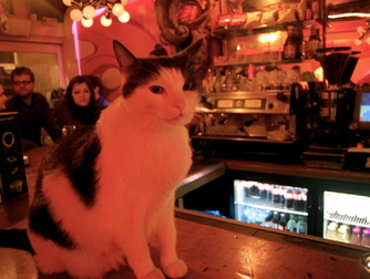 De Dampkring - Coffeeshop in Amsterdam.