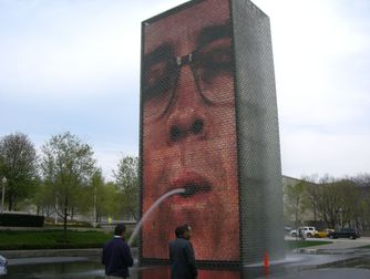 Grant Park / Millennium Park  - Culture | Outdoor Activity | Park in Chicago.