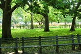 Battery-park_s165x110