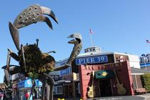 Pier 39 - Event Space | Landmark | Live Music Venue | Outdoor Activity in San Francisco.