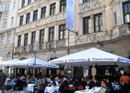 Augustinerkeller - Beer Garden | Beer Hall | German Restaurant | Historic Bar in Munich.