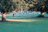 Clapham Common - Concert Venue | Park in London.