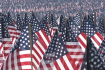 Memorial-day-flag-garden-on-boston-common_s210x140