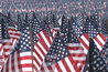 Memorial Day Flag Garden on Boston Common - Holiday Event in Boston.