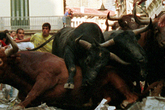 Running-of-the-bulls_s165x110
