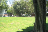 Washington-square_s165x110