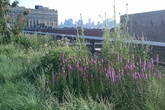The-high-line_s165x110