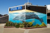 Fishermans-wharf_s165x110