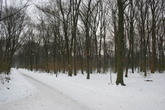 Tiergarten_s165x110