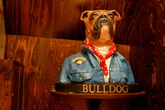 The-bulldog-coffeeshop-nr-90_s165x110