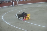 Bullfights-at-las-ventas_s165x110