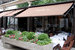 Julie's Restaurant & Bar - Bar | Restaurant | Wine Bar in London.