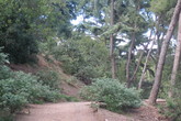 Park-guell_s165x110