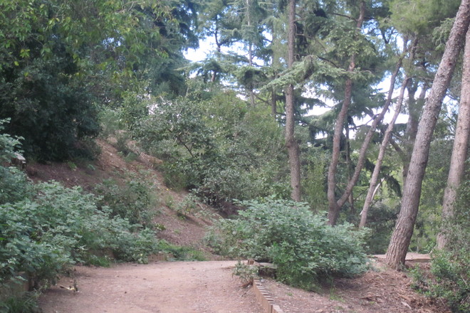 Photo of Park Güell