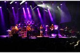 Dark-star-orchestra_s165x110