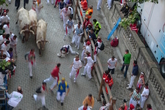 Running-of-the-bulls_s165x110