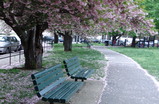 Allston-brighton_s159