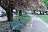 Allston-brighton_s165x110