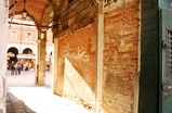 Erbaria_s159