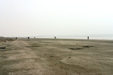 Lido-beach_s165x110
