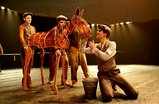 War-horse_s159