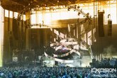 Excision_s165x110