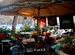 Mr. Pucci - Bar | Lounge in Rome.