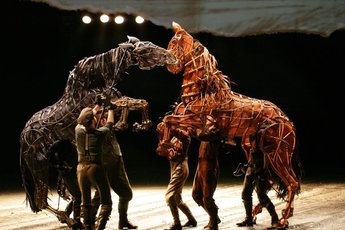 War Horse - Play in Los Angeles.