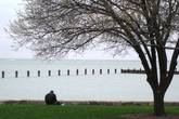 Lincoln-park_s165x110