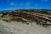 Ocean-beach_s165x110