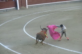 Bullfights-at-las-ventas_s165x110