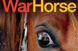 War-horse_s159