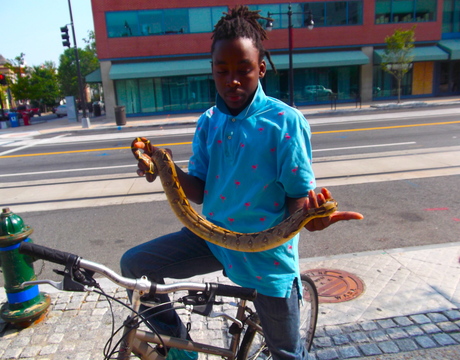 H Street Corridor, Washington, DC.