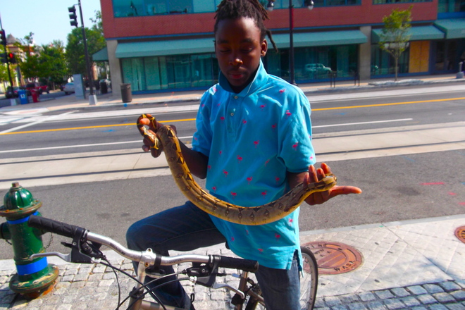 Photo of H Street Corridor, Washington, DC