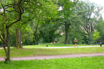 Central Park in New York.