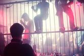 Bonito-house-club_s165x110