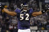 Baltimore-ravens-football_s165x110