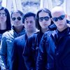 Infected Mushroom