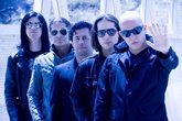 Infected Mushroom