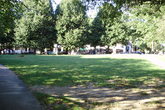 Allston-brighton_s165x110
