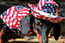 Memorial Day 2013 in Boston