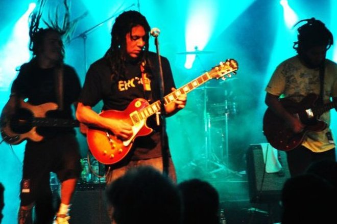 Photo of Tribal Seeds