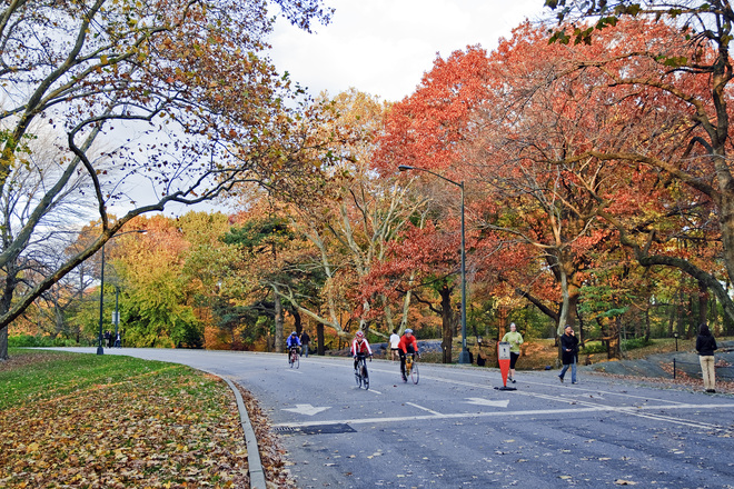 Photo of Central Park