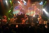 Frightened-rabbit_s165x110