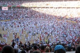 Pamplona_s165x110