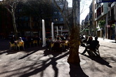 Gracia_s165x110