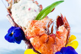 Taste of Amsterdam - Food & Drink Event | Food Festival in Amsterdam.