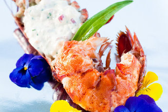 Taste of Amsterdam - Food & Drink Event | Food Festival in Amsterdam.