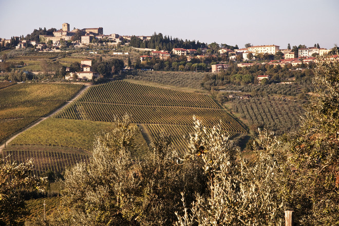 Photo of Chianti Region