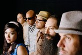 Dengue Fever